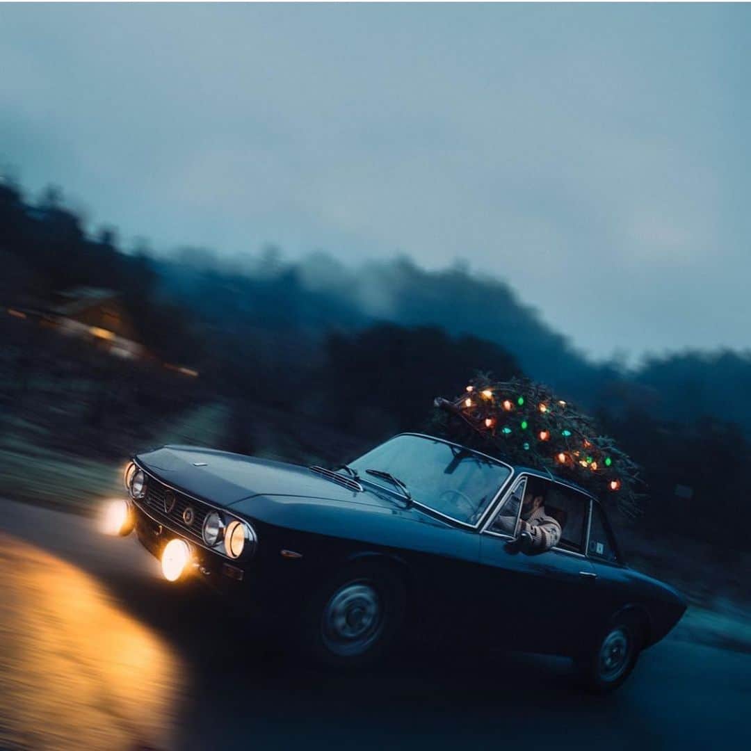 ザ オフィス オブ アンジェラ スコットのインスタグラム：「merry merry. sending so much love to everyone. 📷 @mattmorrisfilms」