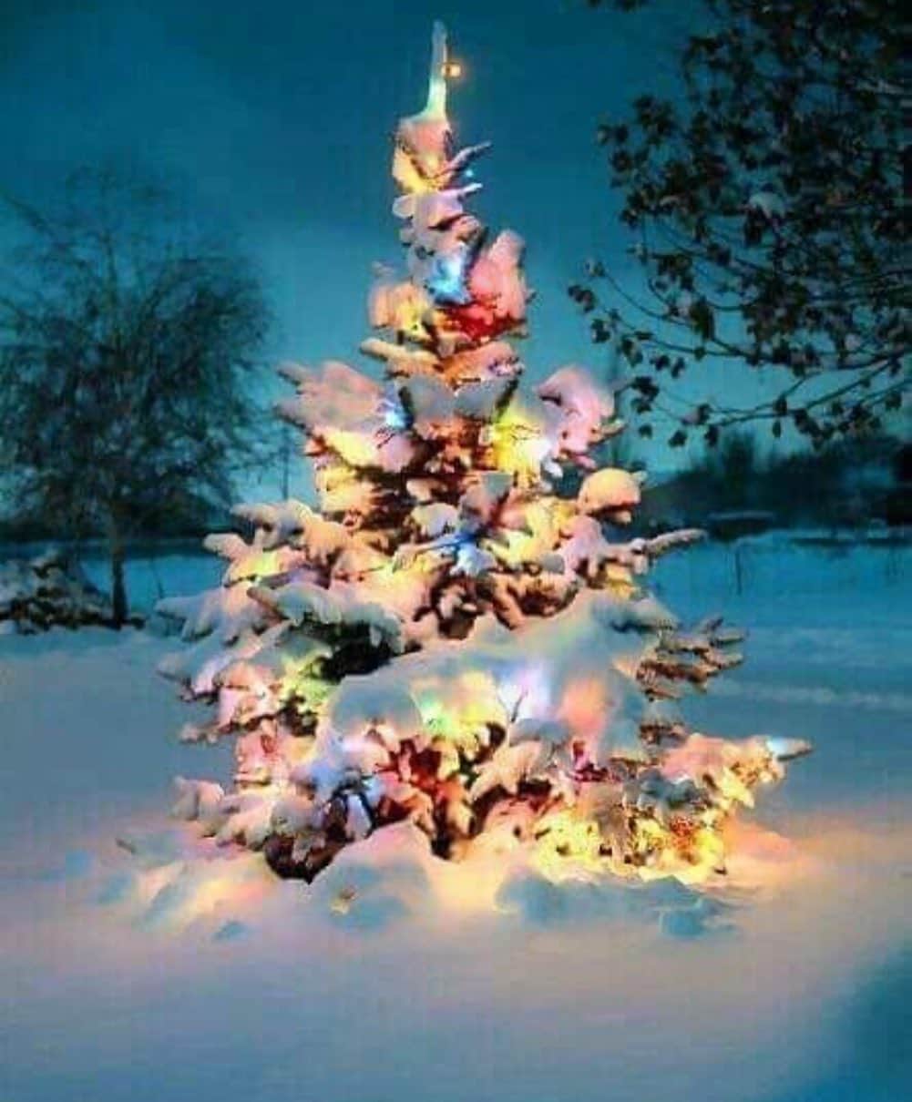 ミッシェルジョナスのインスタグラム：「Merry Christmas to everyone. Stay healthy and safe and be kind to one another. 🎄⛄️🎅🏼  www.mijobymichellejonas.com #michellejonasdesigns #michellejonastravelwear」