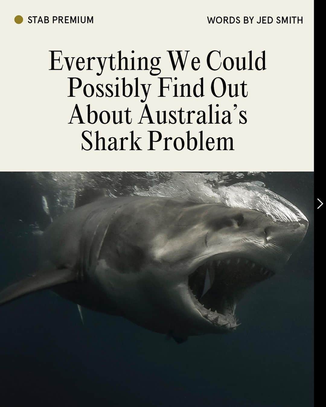 Surf Magazineさんのインスタグラム写真 - (Surf MagazineInstagram)「@jedaum_smith speaks to surfers, conservationists and marine scientists about Australia's ongoing shark problem following its deadliest year since 1929. Dive in on Stab Premium. Photos: @sa_rips」12月26日 14時41分 - stab