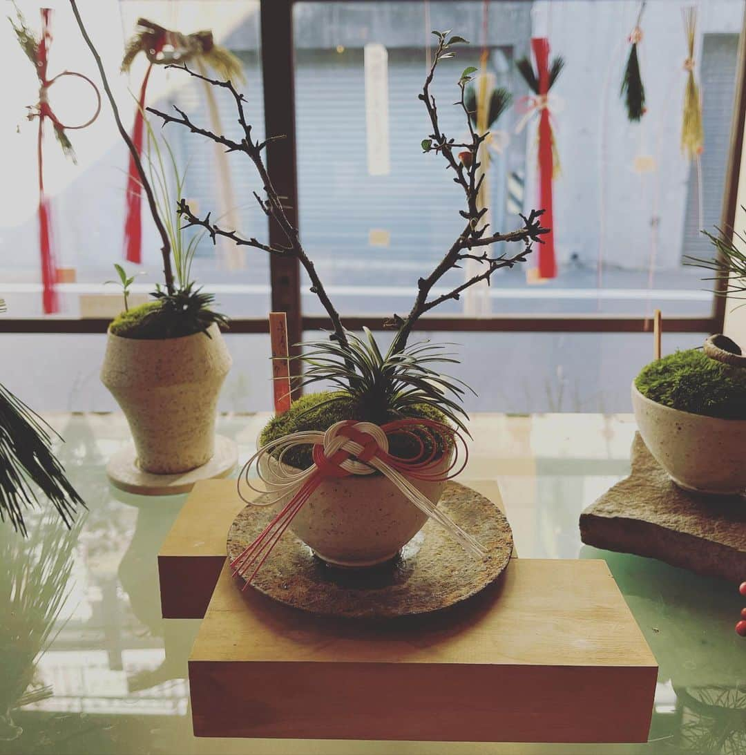 Taku Takahashiさんのインスタグラム写真 - (Taku TakahashiInstagram)「“Bonsai”」12月26日 13時38分 - takudj