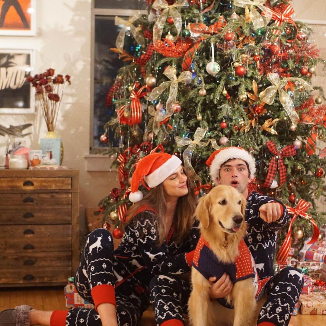 ショーン・オプリーのインスタグラム：「Merry Christmas 🎄 Tallulah has given up @fernandaliz」