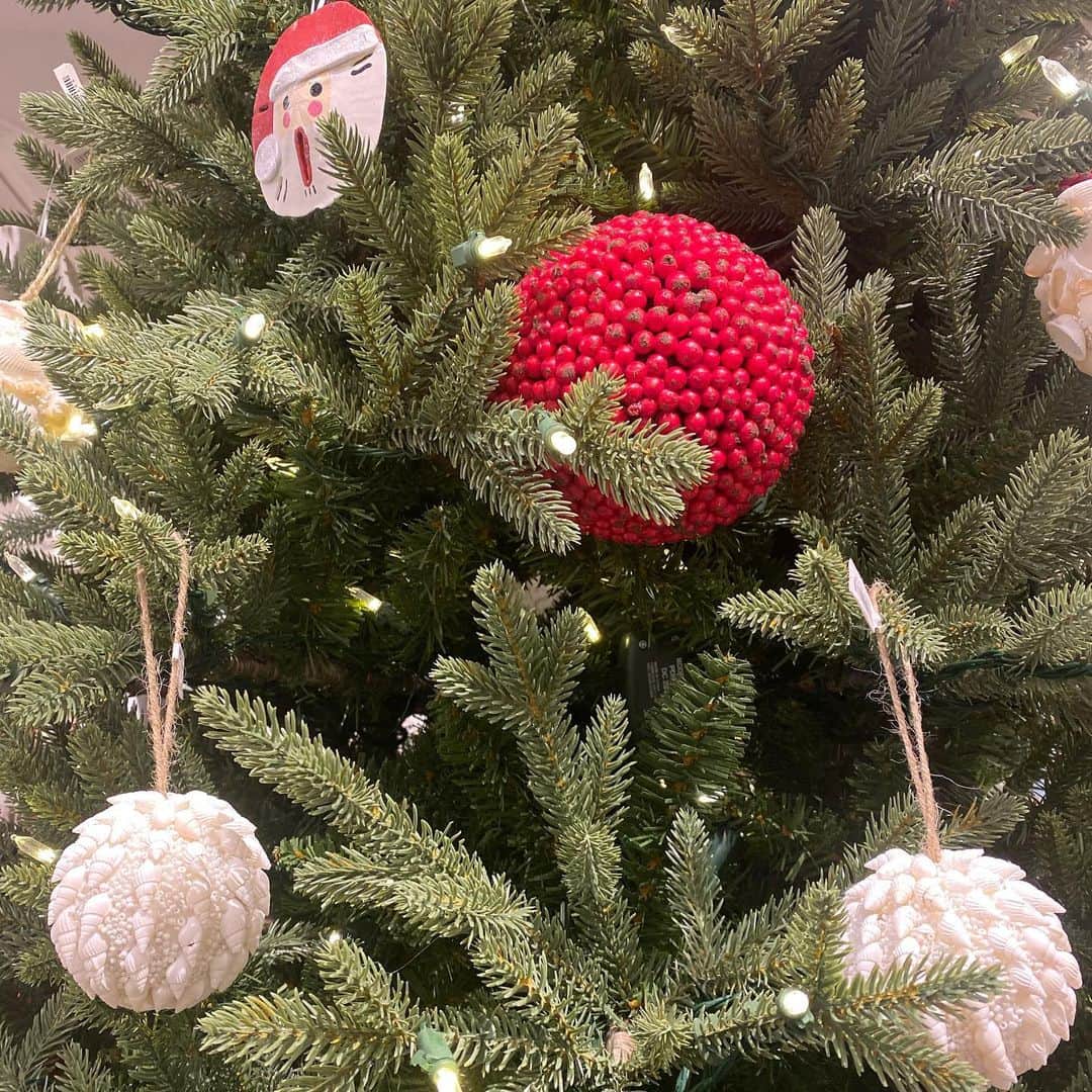 エビアン・クーのインスタグラム：「Merry Christmas 🎄 to you all:)   私たちはホームクッキングで プライムリブ・ツームリック スパイスのマッシュポテト・ 大蒜のサヤインゲンを作ったよ。  今年はちょっと違うクリスマスだけど みんなにとって幸せな時間を過ごしてますように🌟♥️」