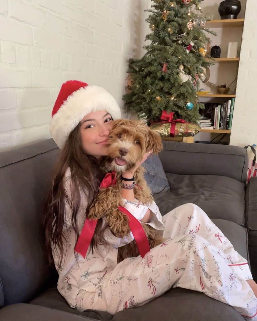 ジェニファー・グレイのインスタグラム：「merry christmas, friends!! winnie & @stellagregg 📸: @clarkgregg #christmasday #holidaze」