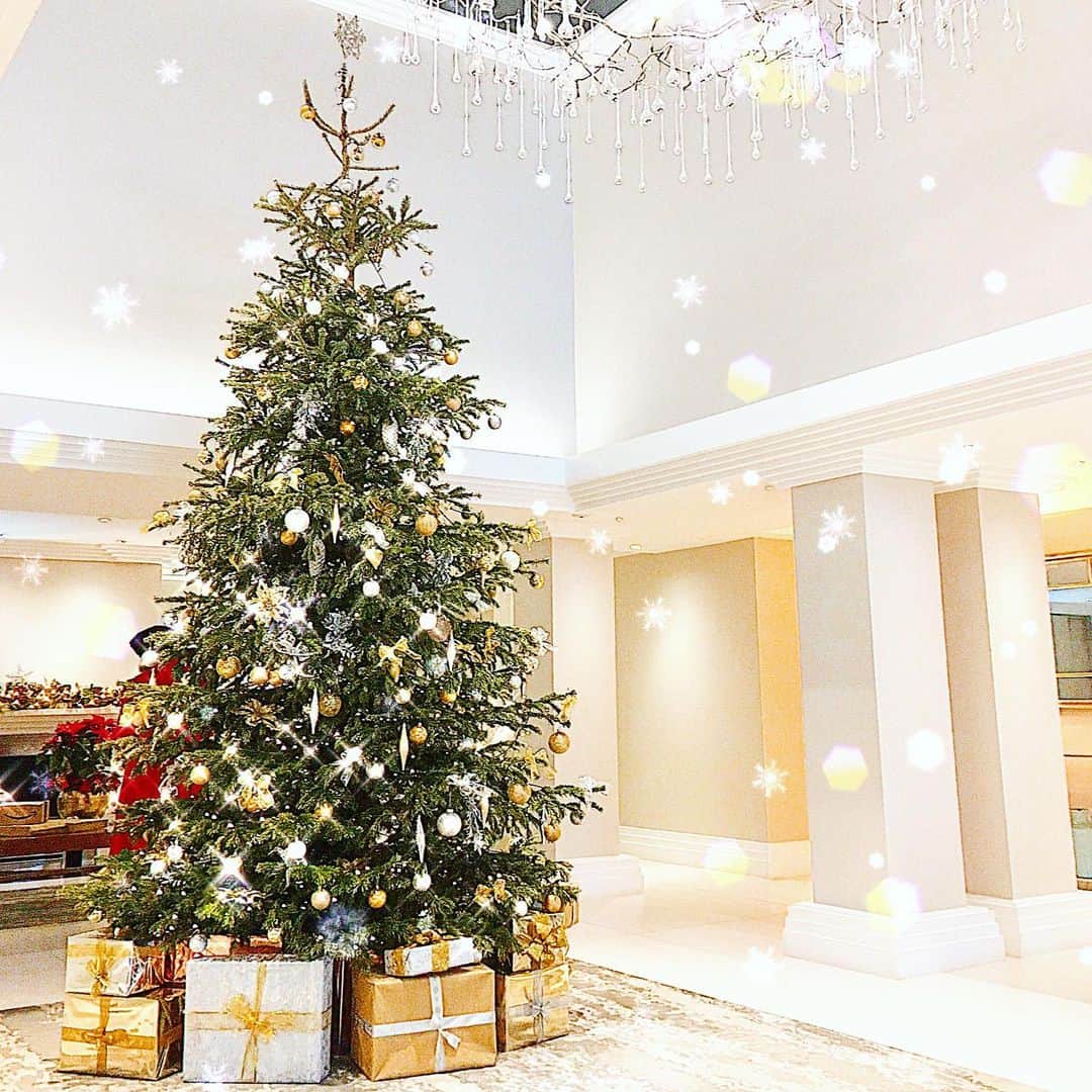 のインスタグラム：「【Merry  Christmas🎄🇬🇧】  ロンドンのイヴ＆クリスマスは快晴でした☀️☺️ 写真はバッキンガム宮殿の前の通り。  クリスマスはおうちで。  ワインはポルトガルのポルトで訪れたワイナリーのTAYLOR’Sに。(ロンドンで買える😁)  メインはハロッズで購入☺️  今年は、バラマーケットで人気のパン屋さんBread Aheadのミンスパイを☺️ (ヨーロッパでクリスマスに食べられるドライフルーツが入ったもの)  飲食店がテイクアウト以外クローズなので、今年はデパートの食品売り場やマーケットがとても混んでいました‼︎  マーケットにクリスマスシーズン限定で並ぶ珍しい野菜も見られて楽しかったなぁ☺️  皆さんは素敵なクリスマスを過ごせましたか🎄✨？ * * * * * #london #uk #londondiaries  #christmastree #christmas #christmasdinner #mincepies  #boroughmarket #breadahead  #taylors #wine #londondiaries  #londonlife  #ロンドン　#イギリス　#クリスマス　#クリスマスツリー　#クリスマスディナー　#ミンスパイ #ブレッドアヘッド #バラマーケット　#テイラーズ #ワイン　#ロンドン日記　#海外　#海外生活　#渡辺枝里子」