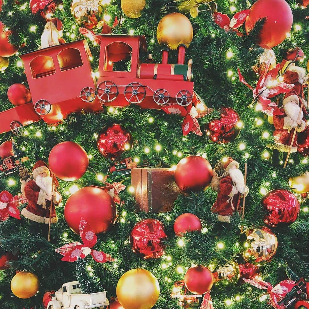 石野千尋のインスタグラム：「Happy holidays ★ ★ ★  Ho Ho Ho 🎅♡  #merrychristmas #🎄🎄🎄 #🎅」
