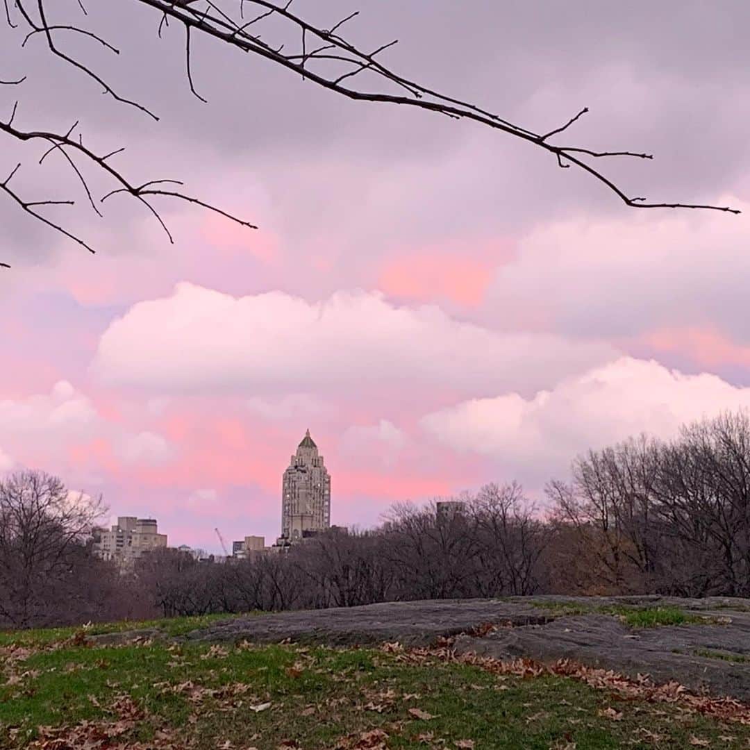 JULIEN D'YSさんのインスタグラム写真 - (JULIEN D'YSInstagram)「Pink cloud tonight ,for Stella ⭐️💗afternoon 4pm #centralpark #newyork #noël #december25.2020」12月26日 7時59分 - juliendys