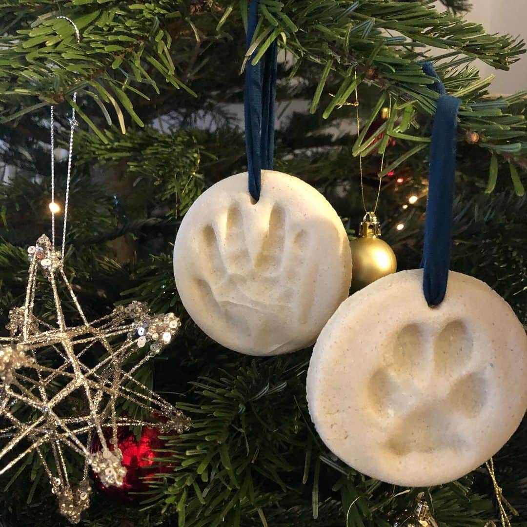 Apricots Artのインスタグラム：「Merry Christmas!🎅🏻🎄  👶🏻🐶おそろいのオーナメント✋🐾 #apricotsart」