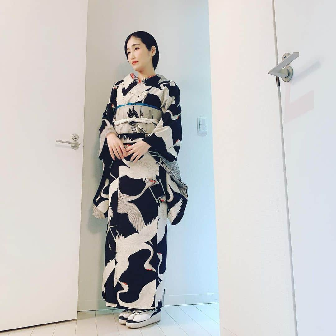 峰なゆかさんのインスタグラム写真 - (峰なゆかInstagram)「鶴の着物に鶴の帯、鶴と松の帯締めに南天の半襟だよ！　最近はちゃんと半襟を付け替えていて偉い！！ #着物　#着物コーデ　#着物コーディネート　#アンティーク着物　#今日の着物　#kimono #ootd #通院」12月26日 8時52分 - minenayuka