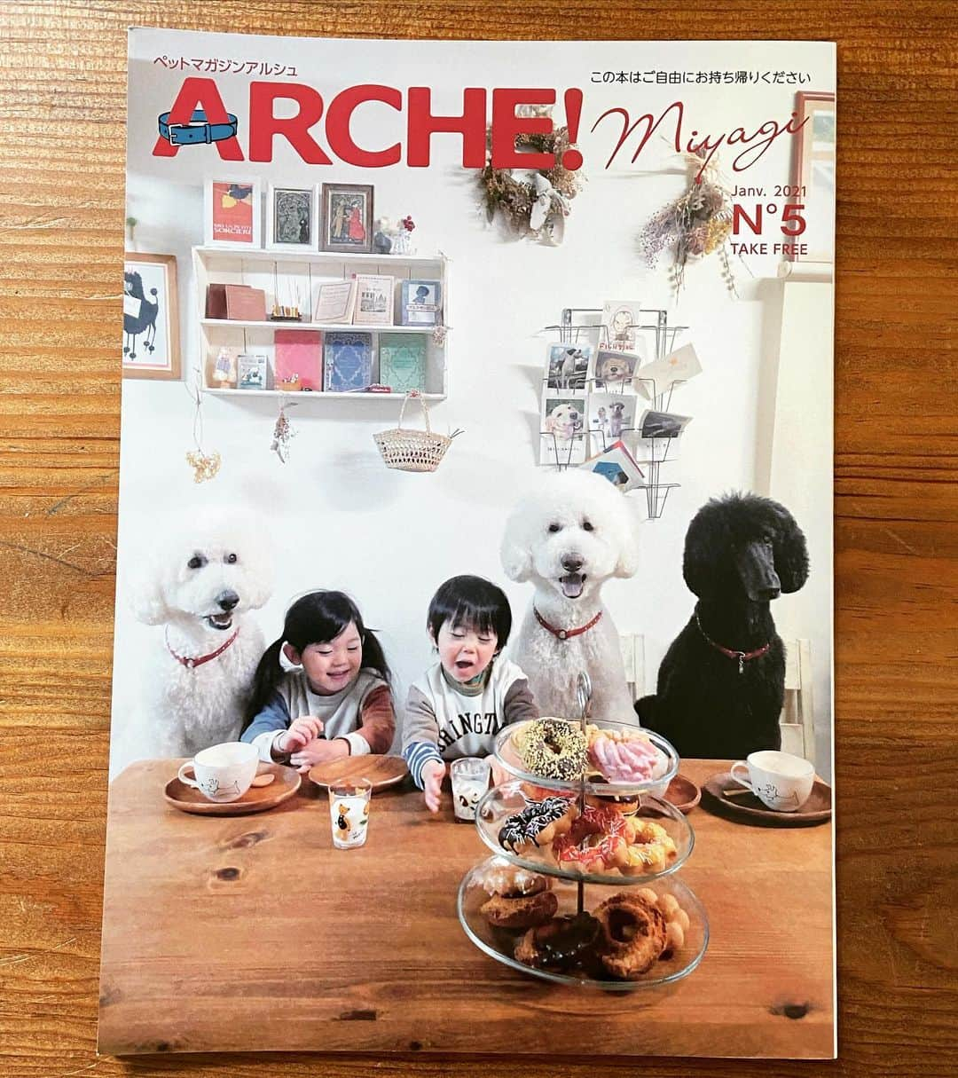 たまねぎさんのインスタグラム写真 - (たまねぎInstagram)「. . 宮城県のペット情報誌　FREE PAPER ペットマガジンARCHE!miyagi 第5号の「愛ある生活を求めて」のコーナーでご紹介いただきました😊 文筆はsingerでもあるazufeelingさんです。 とっても素敵に書いてくださっています。 なんとP16〜P23の8ページ！！  お近くの皆さん、ぜひ見てみてくださいね♪  #standardpoodle #dog #lovedogs #スタンダードプードル #大型犬と子供 #poodle #dogstagram #いぬのいる生活 #子どもと犬  #kidsanddog #ママリ #キズナ #コドモノ #いこーよ #いぬのきもち #犬と暮らす #いぬなしでは生きていけません #ペットマガジン #ペットマガジンアルシュ #ペットマガジンarche #archemiyagi #azufeeling」12月26日 14時47分 - tamanegi.qoo.riku