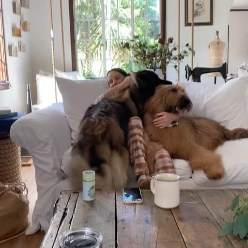 ガブリエル・アンウォーのインスタグラム：「Merry, merry! Jammies, puppies, babies, hubbies =happiness! @shareefmalnik」