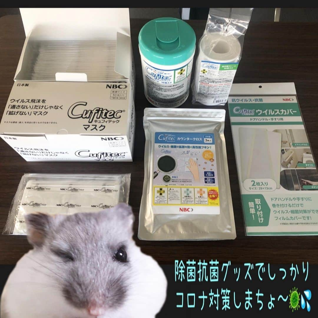 hamster_mocoさんのインスタグラム写真 - (hamster_mocoInstagram)「コロナに負けるな🐹👊🏻🦠←ｺﾛﾅ ･ コロナに疲れてきたこの頃ですが💦 しっかり対策をすれば乗り切れるはず💪✨本当にいい物だからオススメさせていただきます☺️  日清製粉グループのNBCメッシュテックの特許技術 Cufitec®(キュフィテック)』が 新型コロナウイルスに対し不活化効果がある事を確認❣️  《マスク》 4層構造、表面と内側に着いたウィルスを広げず高い抗菌効果により嫌なニオイが発生せず5日間も繰り返し使えコスパがいい✨ 《カウンタークロス》 繰り返し洗っても抗ウイルス・抗菌が持続。水や中性洗剤の手洗いで約30回使用可能✨テーブルを拭く際も菌を広めず抑えられる。お洗濯しても大丈夫👌 《コーティング剤》 3ヶ月効果が続くコーティング剤。机やドアノブなど共有部分に塗ったら安心✨アルコールや洗剤で拭いてもコーティングが取れません😊 《ウイルスカバー》 ドア、手すり、エレベーターボタン等に貼るだけで半年は抗ウイルス効果あり。普通に掃除してもOK🙆‍♀️  マスク30枚、拭き取りシート50枚入り(容器付き)、カウンタークロス10枚は注文され次第送れますが、その他の商品は年明けとの事です🙇‍♂️  今ならお得なクーポンが使えまちゅ🐹 CS-STORE開店クーポン 10%off(1月4日まで) iOuOyGTK58  ご注文はストーリーから飛べます✨  #日常が早く戻りますように🥺 #コロナに負けない #キュフィテック#cufitec #コロナ対策グッズ#抗菌 #抗ウイルス#cs3500#マスク  #カウンタークロス」12月26日 10時05分 - asahi.fl