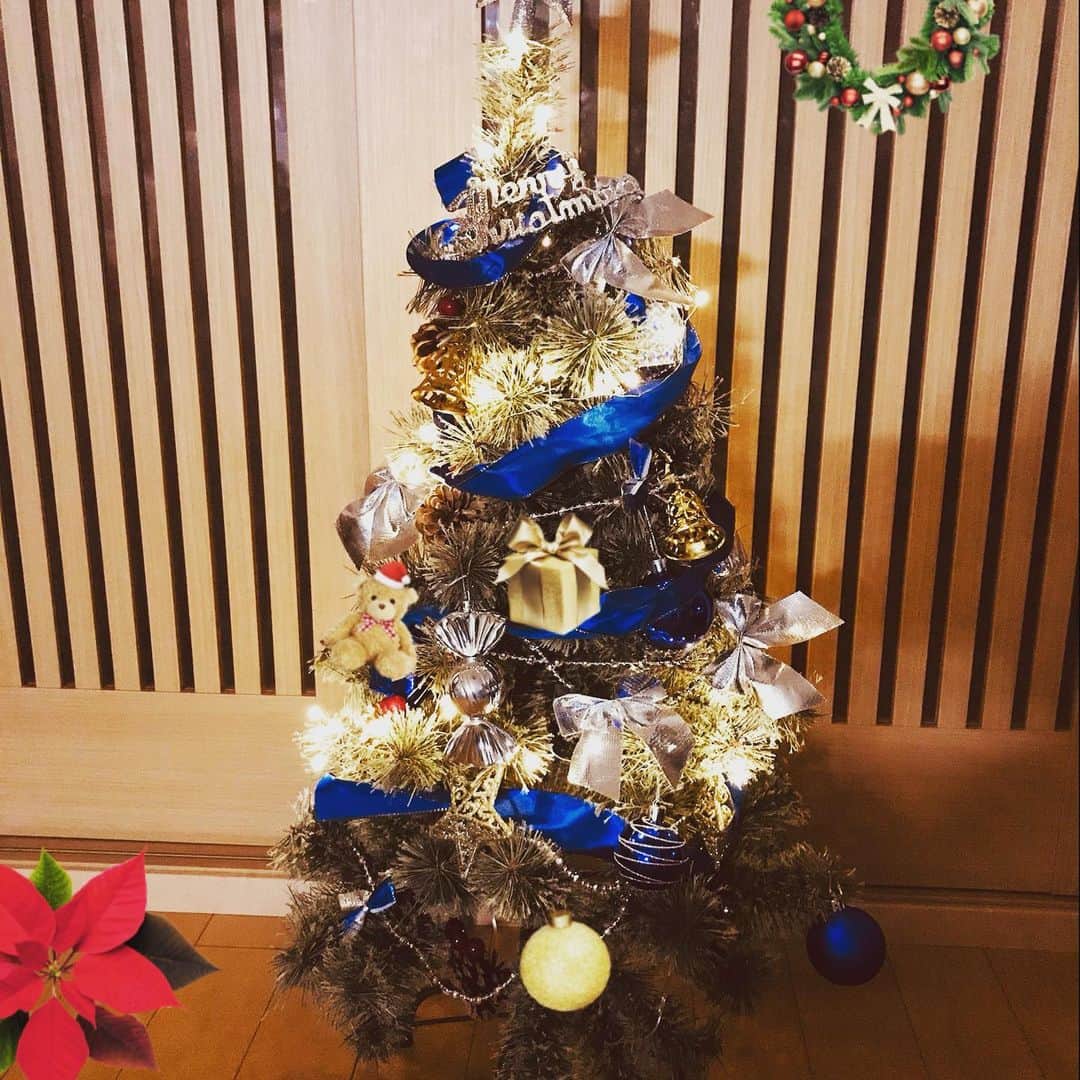 亜羽音さんのインスタグラム写真 - (亜羽音Instagram)「ツリーさんまた来年宜しくお願いします🎄🥺  #クリスマスツリー #クリスマス #自粛生活 #christmas」12月26日 10時50分 - ahanechan