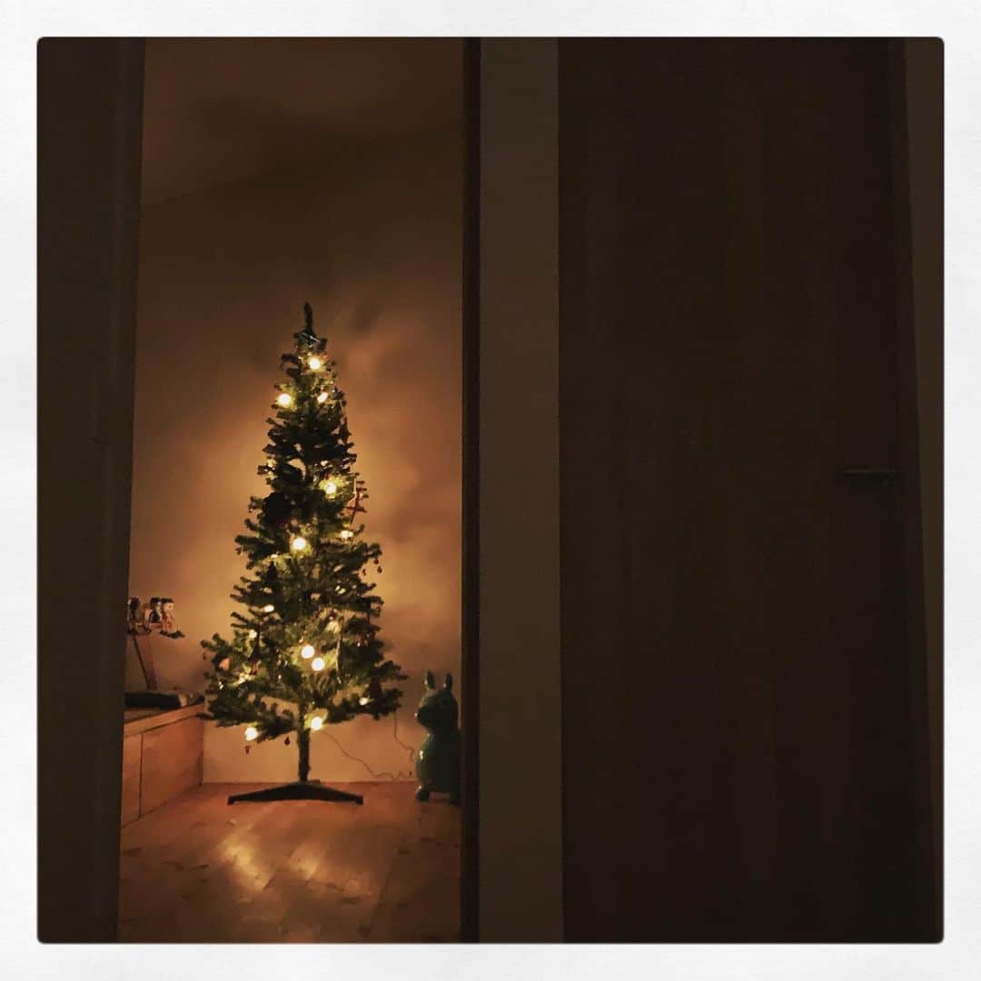 星野真里さんのインスタグラム写真 - (星野真里Instagram)「眠れないという子ら眠る真夜中にニヤニヤした君幸せであれ！ #どんなクリスマスを過ごしましたか #我が家では隠れて鈴の音鳴らす人出現 #プレゼントは欲しいけどサンタには会いたくない #おもてなしから遠く離れた娘となりました」12月26日 11時00分 - mari_hoshino.7.27