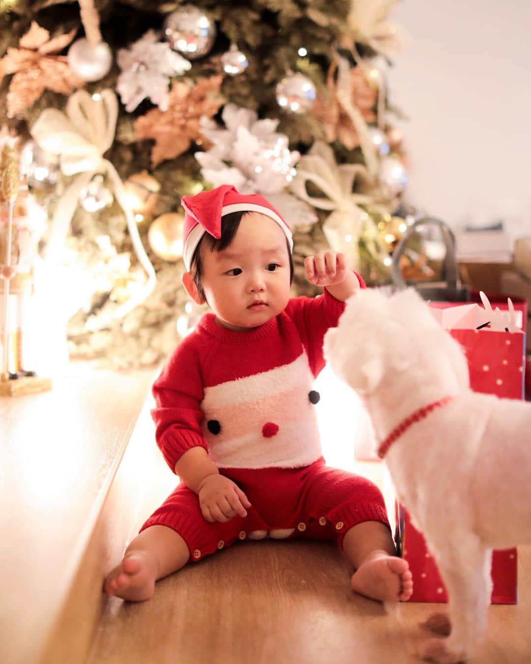 MOMOツインズのインスタグラム：「Baby Santa and his ‘reindeer’ ❤️ #christmas2020」