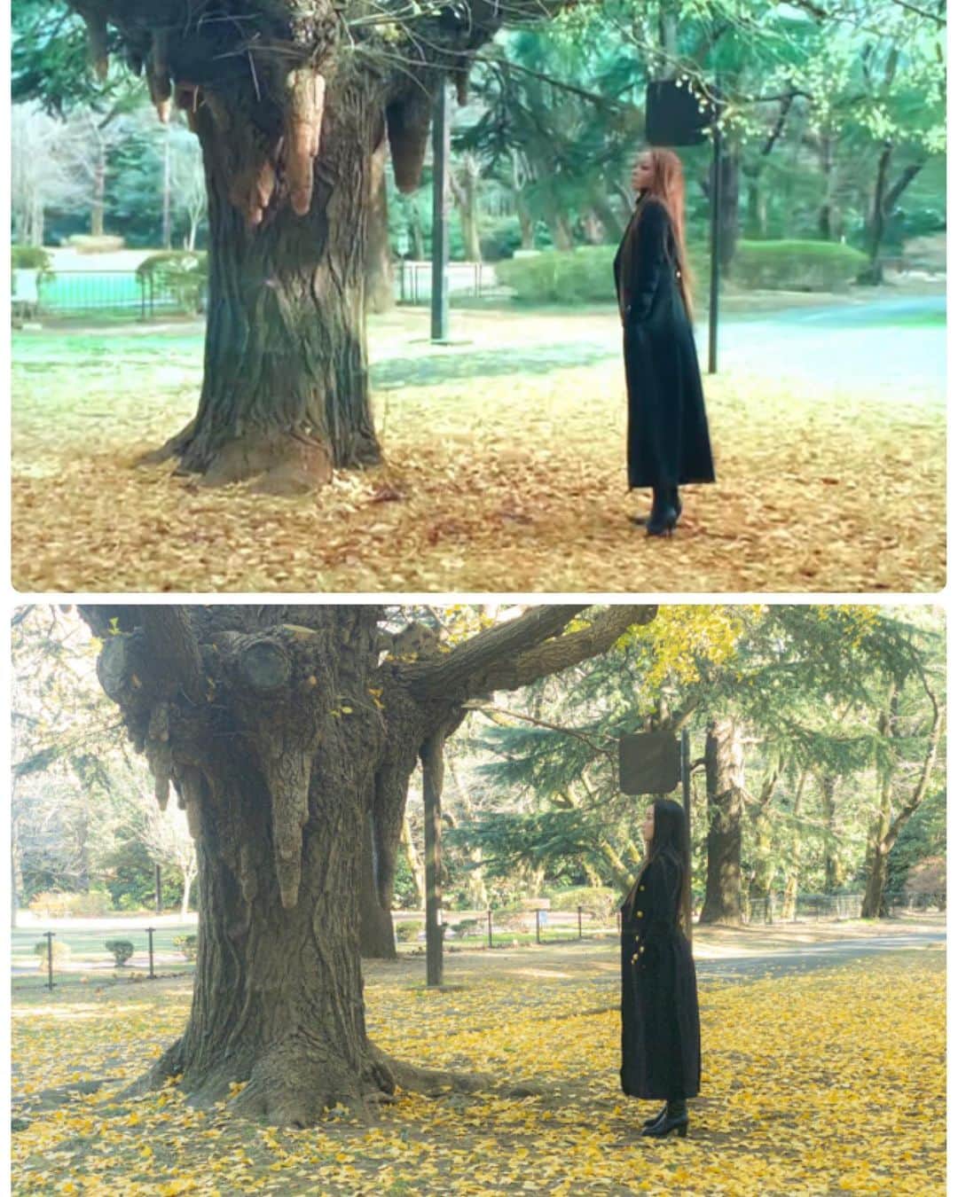 NOHANAのインスタグラム：「・ 2007 ⬇️ 2020 木の成長すごい🌳 今年もベビドンごっこして来ました🥰🍁 ・ #安室奈美恵 #namieamuro #安室ちゃん #アム活 #アムコス #アムラー #babydontcry #ベビドン #代々木公園 #SLY #ベビドンコート #のはなみえ」