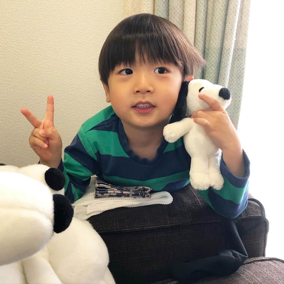 進藤やす子のインスタグラム：「✳︎ 少し前に甥っ子りょうちゃん👶が誕生 （かなちゃん、おつかれさま✨） はるちゃんはお兄ちゃんになりました。 . はるちゃんも全然小さいと思ってたんだけど👶って小さいよね〜✨ （同じスヌが大きく見える👀） . ばあばは、なっちゃん🐼🌈なのか ふうちゃん🐼なのか、はるちゃん👦なのかりょうちゃん👶なのか、もう犬も孫もごちゃまぜでよく名前を呼び間違えてるけど笑、みんな可愛いからいいんじゃないかな😂 . わがままお嬢様のブルミ🐶🌈は孤高の存在だから呼び間違えません笑 . . #甥っ子はるちゃん👶  #叔母バカ」