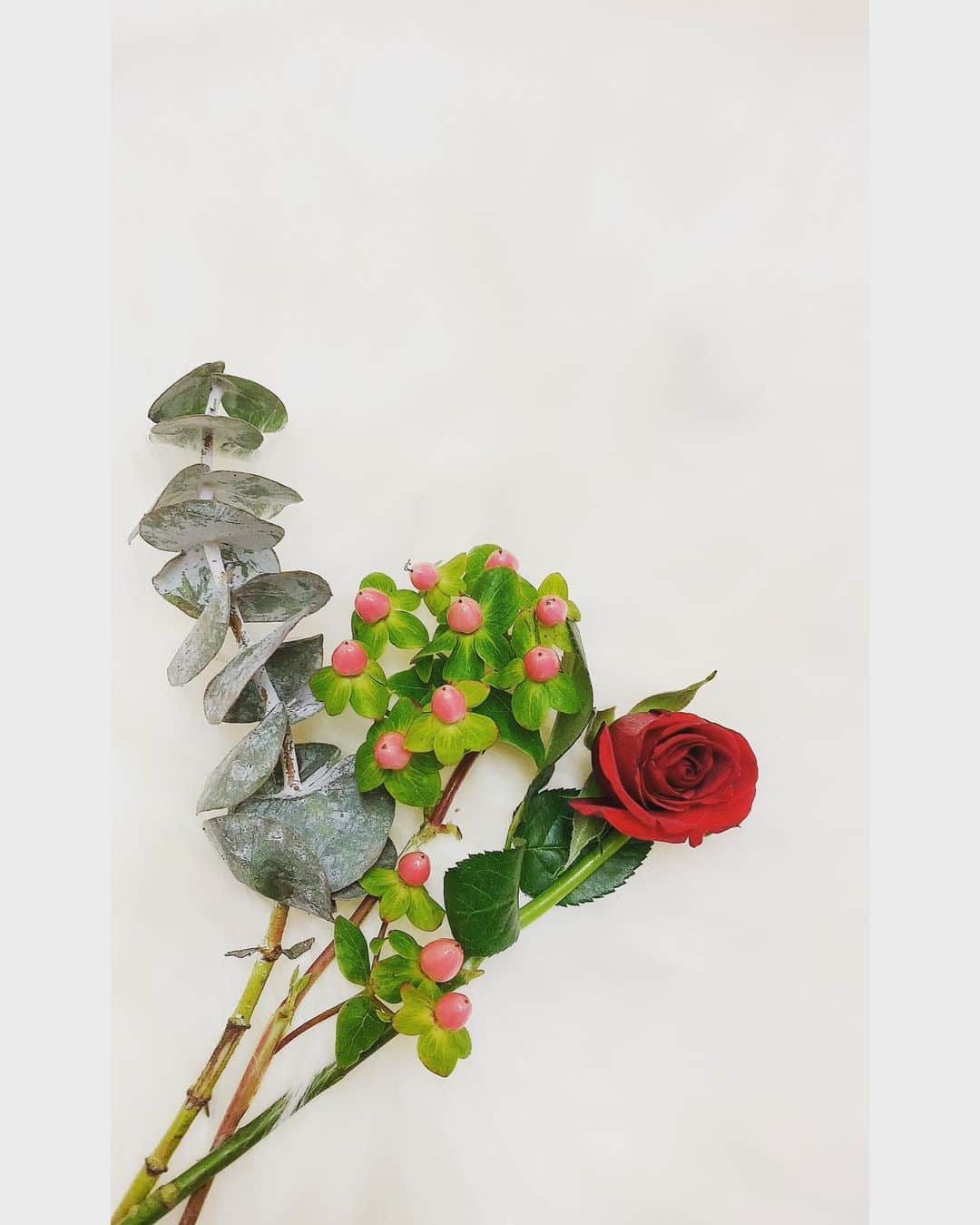 AYUNAさんのインスタグラム写真 - (AYUNAInstagram)「Bloomee LIFEの定期便フラワー🌼🏵️🌹 お花の品質がとっても良いんだよ✨お花は可愛いデザインの入れ物の中に、鮮度が保たれたまま送られてくるので安心です☘️いろんな種類のお花をお家で楽しみたい方はオススメなので是非チェックしてみてね😉🥀 💐初回のお花お届けが無料になるクーポン💐 ▼▼クーポンコード▼▼ ■クーポンコード：ayuna ■有効期限：2021年1月31日 #bloomeelife @bloomeelife #ブルーミーライフ#花サブスク」12月26日 12時14分 - ayuna_0404