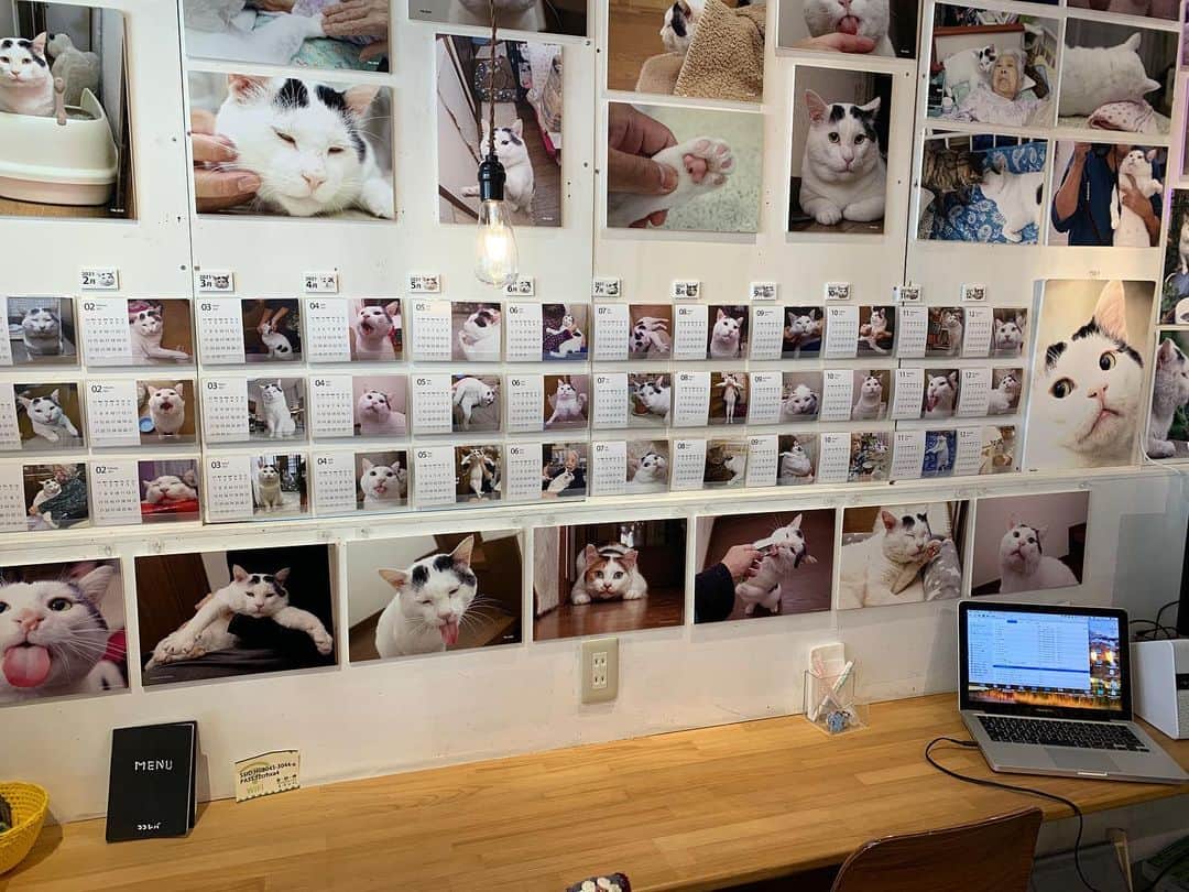 Kachimo Yoshimatsuのグルメインスタ