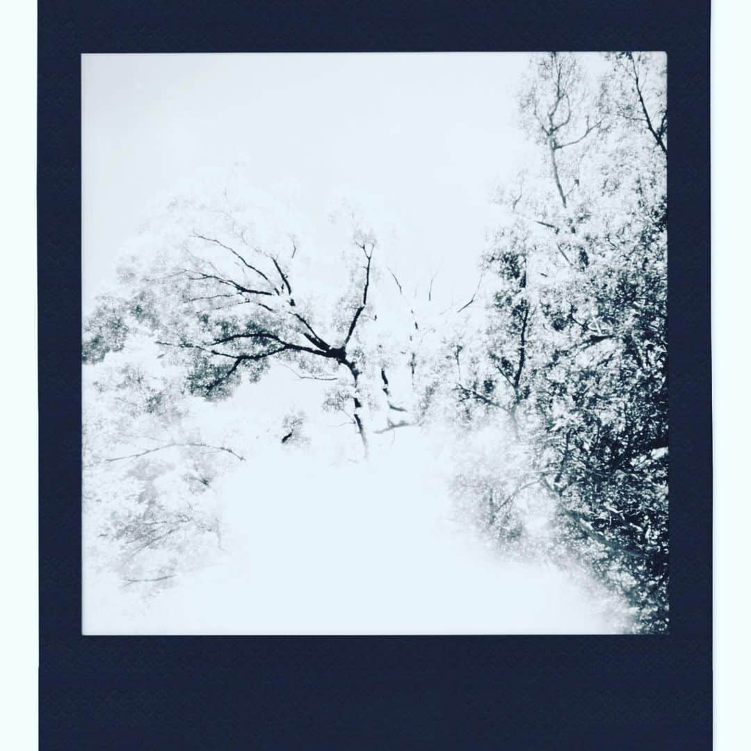 安達祐実さんのインスタグラム写真 - (安達祐実Instagram)「🤍🖤🤍 2020年もあと数日。」12月27日 0時01分 - _yumi_adachi