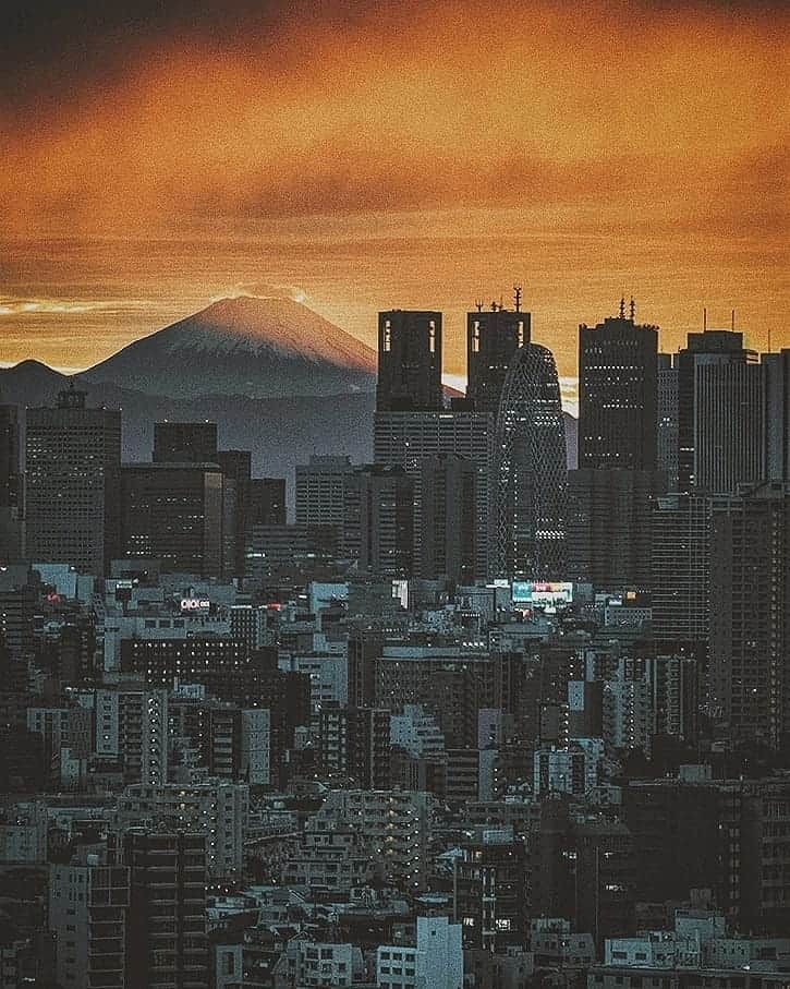 Berlin Tokyoさんのインスタグラム写真 - (Berlin TokyoInstagram)「Mt. Fuji is one of my favorite object as always. This is because the appearance changes depending on the season, time and location, and clouds can also make for different pictures. I never get tired of waking up at 2 a.m. to take pictures of Mt. Fuji in the morning glow, and there are still more pictures I want to take, so I will keep shooting it. I selected 10 of my favorite photos of Fujisan taken this year  and past few years 🗻 . Which one is your favorite?? . 1, Shizuoka 2, From airplane 3, Shizuoka 4, From airplane 5, Tokyo 6, Yamanashi 7, Shizuoka 8, Shizuoka 9, Chiba 10, From bullet train . . . #hellofrom Mt. Fuji, Japan」12月26日 22時31分 - tokio_kid