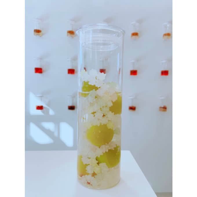 森遥香のグルメインスタ