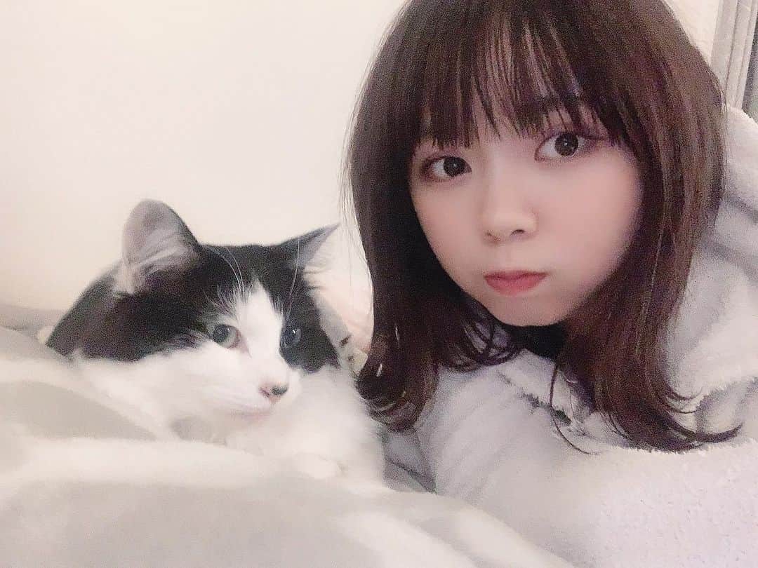 Ryokoのインスタグラム：「家族 #catstagram #selfie」