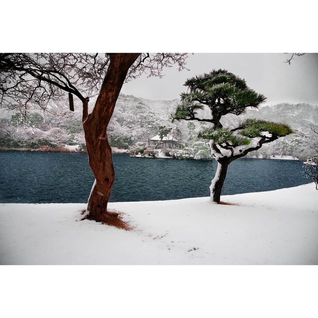 スティーブ・マカリーさんのインスタグラム写真 - (スティーブ・マカリーInstagram)「Sankei-en Garden, #Yokohama, #Japan, 2014.  #SteveMcCurry」12月26日 23時25分 - stevemccurryofficial