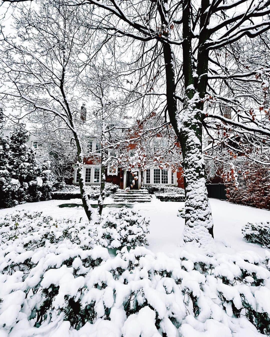 kaelのインスタグラム：「This year has been a real challenge and I can’t believe it’s almost over. We did get a lovely snowfall on Christmas Day and I took some pictures to share. Peace and love to everyone 🤍❤️」