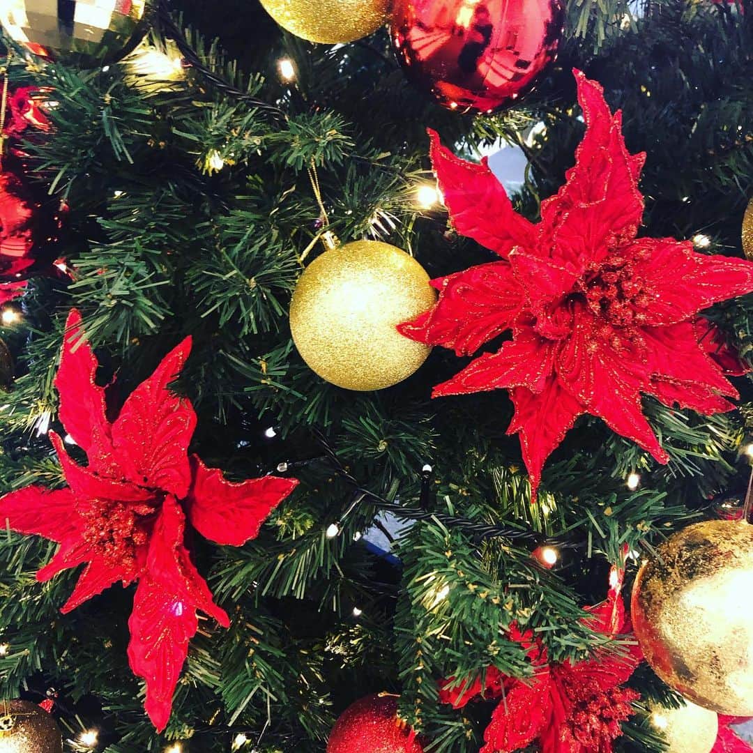 RUUNAのインスタグラム：「. . クリスマスの色合い好き。 いくつになってもわくわくしちゃう🎄 . . #christmas #xmas #christmastree #tree  #happy #love #fun #enjoy #winter  #red #gold #green #colour  #クリスマス #クリスマスツリー #カラー #冬」