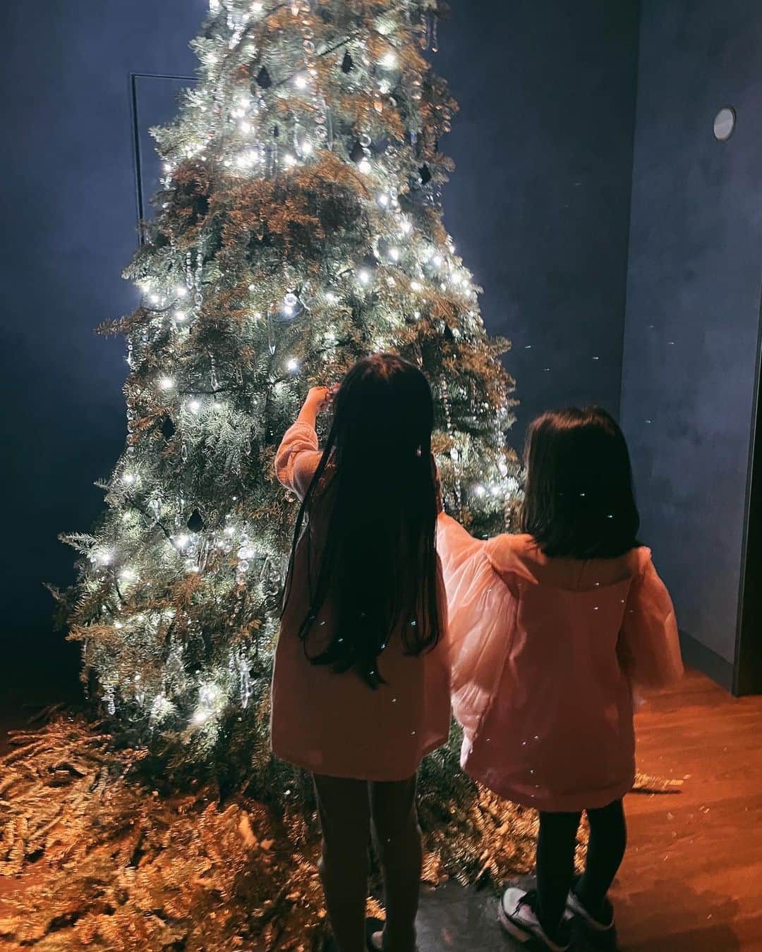 ベビちぃ。のインスタグラム：「大きなクリスマスツリーは本物のもみの木🎄 いい香りがしたな✨ 仲良しのお友達といっしょにお風呂に入ったり、 サンタさんからもらったトトロたちとテントで遊んだよ！」