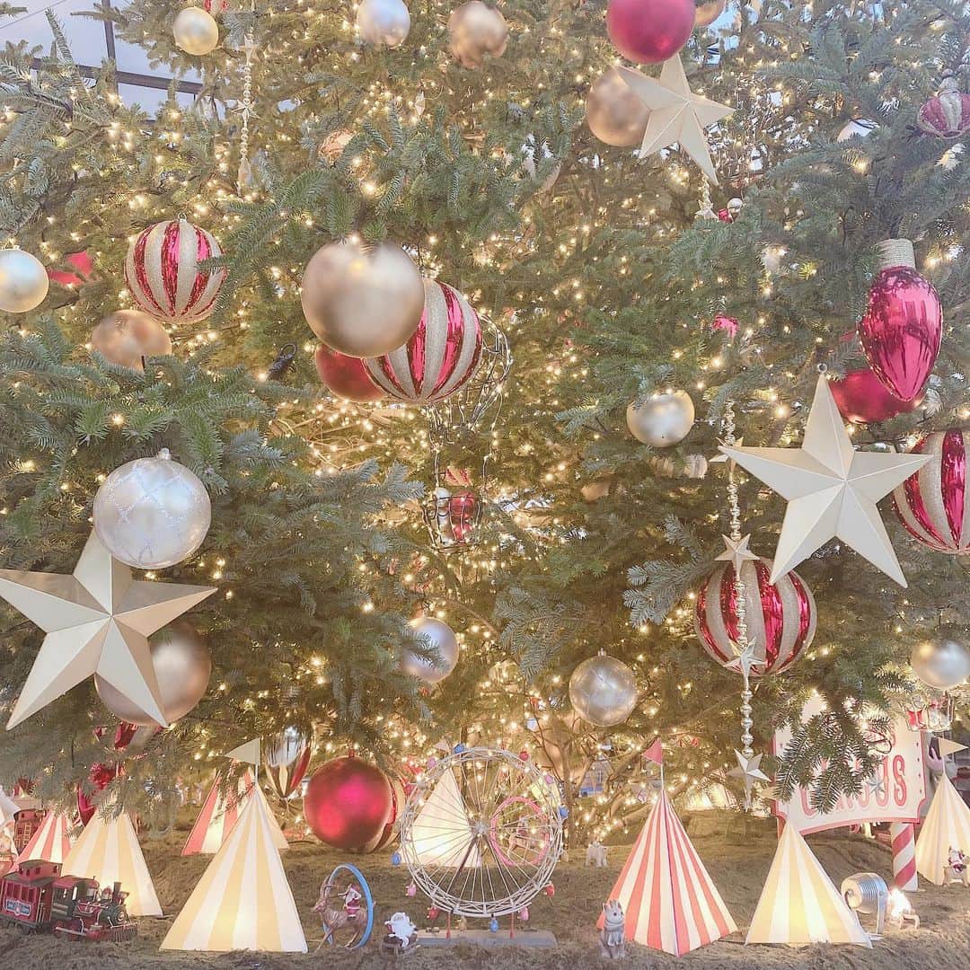 一ノ瀬陽鞠（ひまりん）さんのインスタグラム写真 - (一ノ瀬陽鞠（ひまりん）Instagram)「🎢🎠🎡🃏  クリスマス終わってしまった。。。」12月26日 15時11分 - lespros_himari