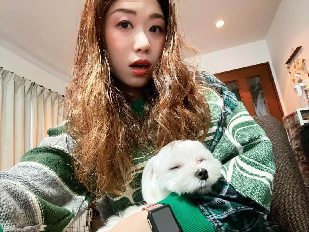 梶有紀子さんのインスタグラム写真 - (梶有紀子Instagram)「. 子犬さんも寝ましたので🐶 今日は12/29に向けての練習ドキュメント動画を撮ろうと思う🎥 . ライブ終わってから【こうやってやってたんだー】というのをアーカイブと一緒に楽しんでいただけたらいいなぁなんてイメージ💭 . 今日も頑張ります🏃‍♂️💨 今年の全ては12/29の配信ライブで✌️ チケットの購入もよろしくです🎟 . 「梶有紀子 Remote LIVE 2020 "Switch Over"」 . ＊日時　2020/12/29 19:00- (約1時間の配信となります) ＊アーカイブ配信期間　2020/12/30 ~  ＊配信プラットフォーム : ツイキャスプレミアム ＊配信チケット ¥2,500-(Tax in) ＊配信チケットの購入はこちらから https://twitcasting.tv/yukko1112/shopcart/39438 . . . #梶有紀子 #yukikokaji #シンガーソングライター #弾き語り #ギター弾き語り #ギター女子 #ギター好きな人と繋がりたい #jpopmusic #japanesemusician #singerslife #japanesesong #音楽好きな人と繋がりたい #instamusiciansdaily #musiciandaily #音楽家 #日常の幸せ #シンガーソングライターと繋がりたい」12月26日 15時10分 - kajiyukiko1112