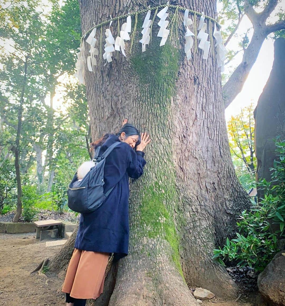 のインスタグラム：「出産前に安産祈願！ 都内屈指のパワースポット代々木八幡へ⛩ 安産、子育て、家内安全、芸能などご利益があるそうでたくさんお祈りしてきました。  この時お腹が大きかった茉奈は大きなご神木を抱いてエネルギー充電✨ 元気な赤ちゃんが産まれて感謝感謝です🥲  この様子はYouTube「マナカナんち」で公開中です☺︎ パワー届きますようにー✨🙌🏻  #パワースポット #安産祈願 #代々木八幡 #YouTube」