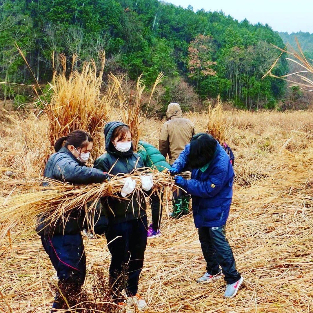 近畿大学総務部広報室さんのインスタグラム写真 - (近畿大学総務部広報室Instagram)「Department of #architecture , #engineering , #kindaiuniversity   Learning how to reap #susuki , Japanese #pampasgrass , and #thatching .  It’s #unesco #intangibleculturalheritage .  #近畿大学 #工学部 #建築学科 #伝統技術 を学ぶ #茅葺き #茅刈り  #ユネスコ無形文化遺産  #東広島市 #近畿大学広島キャンパス」12月26日 16時05分 - kindaiuniversity