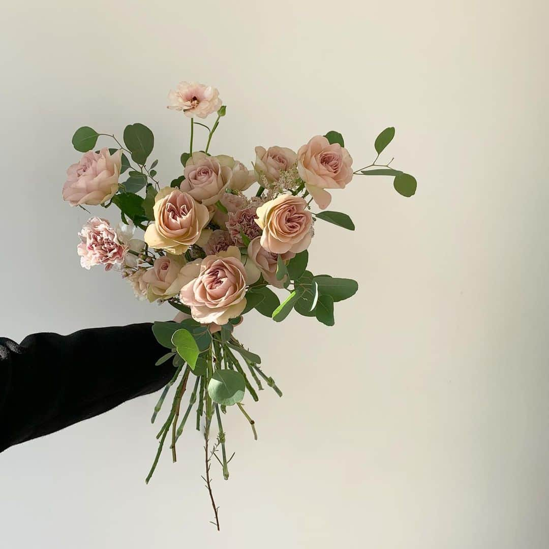 플로리스트 이주연 florist Lee Ju Yeonさんのインスタグラム写真 - (플로리스트 이주연 florist Lee Ju YeonInstagram)「. . 색감이 너무 아름다운 노틀담장미 🤍 . #노틀담장미 #rose  . 订花 WeChat ID vaness_flower 페이팔 결제 가능  클래스상시모집 당일꽃주문가능 . #수업문의 #주문예약 #lesson #Order  Katalk ID vaness52 WeChat ID vaness_flower E-mail vanessflower@naver.com . 서초구 양재천로 123 5층 📞02-545-6813 . #vanessflower #florist #flowershop #handtied #flowerlesson #花束 #바네스플라워 #플로리스트 #꽃다발 #부케 #플로리스트학원 #플라워레슨 #양재동꽃집 #양재역꽃집 #꽃다발주문 #꽃수업 #꽃주문  #대관 #공간대여 #스튜디오대관 #자연광스튜디오 #자연광스튜디오대관 #스튜디오」12月26日 16時10分 - vanessflower