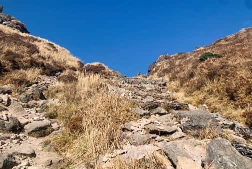 一双麻希 さんのインスタグラム写真 - (一双麻希 Instagram)「またまた由布岳写真を🙇‍♀️⛰ 岩場のハードな山に見えますが、 頂上まで3時間(往復4時間半)のコースなので 初心者にもお勧めです☻ 鮮やかな紅葉▶︎解放感ある絶景﻿▶︎険しい岩場 、、と色んな景色の変化を楽しめる山でした、、✨✨😭 別府や湯布院の温泉もすぐで、下った後の温泉が最高です☺️ ・ #いっそうまきchannel #YouTube ・  #由布岳 #大分 #登山  #紅葉 #紅葉狩り #湯布院 #別府 #別府温泉 #トレッキング #登山 #トレッキング女子 #自然好き #アウドア好き #アウトドア女子 #山登り女子 #山好き #山ガール #自然写真 #登山初心者 #日本の絶景  #trekking #hiking #yatsugatake #naturephotography #outdoors #japanphotography #redleaves #japanview #yufudake」12月26日 16時18分 - isso_maki315