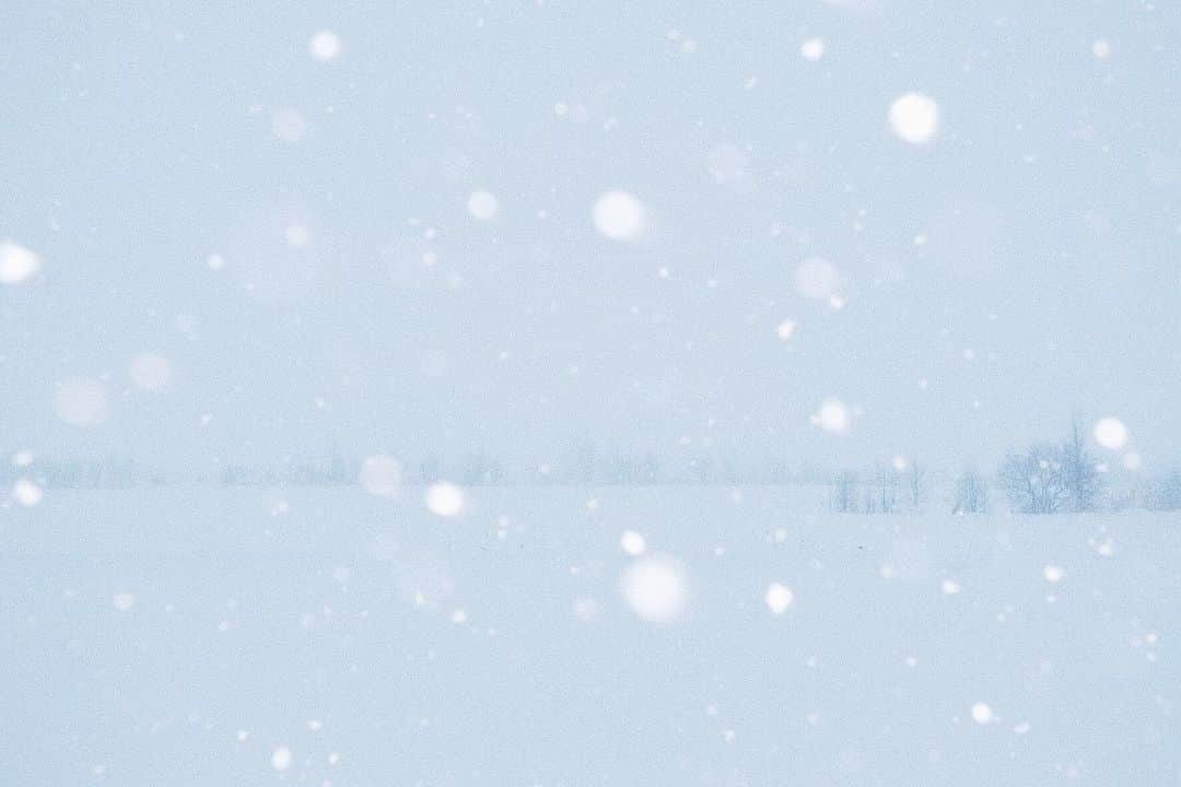 naorinmoonのインスタグラム