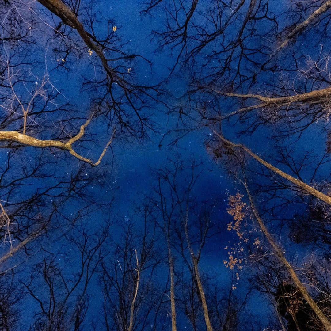 ビートないとーのインスタグラム：「少し曇っていましたが、星も見えました✨冬は星が綺麗に見えますね✌️  薪ストーブも買ったので、また早くキャンプに行きたいです、🤲🔥」
