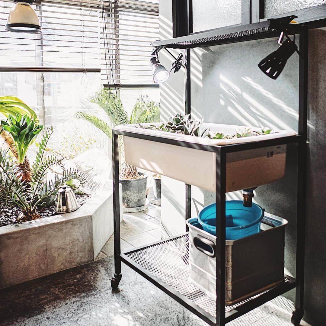 響のインスタグラム：「プランタースタンドのデザインしてみました🌱 TOTOの実験用シンクがぴったりハマるように設計したので排水もできます✨ ・ ライト挟んだり何か置いたりできるように上下にエキスパンドメタルの棚もあるアガベ専用プランターです💁‍♂️ ・ その他のworksは→ @theclock_ ・ #アガベ好きな人と繋がりたい  #アガベ #アガベのある暮らし #リノベーション#インテリア#建築#デザイン」