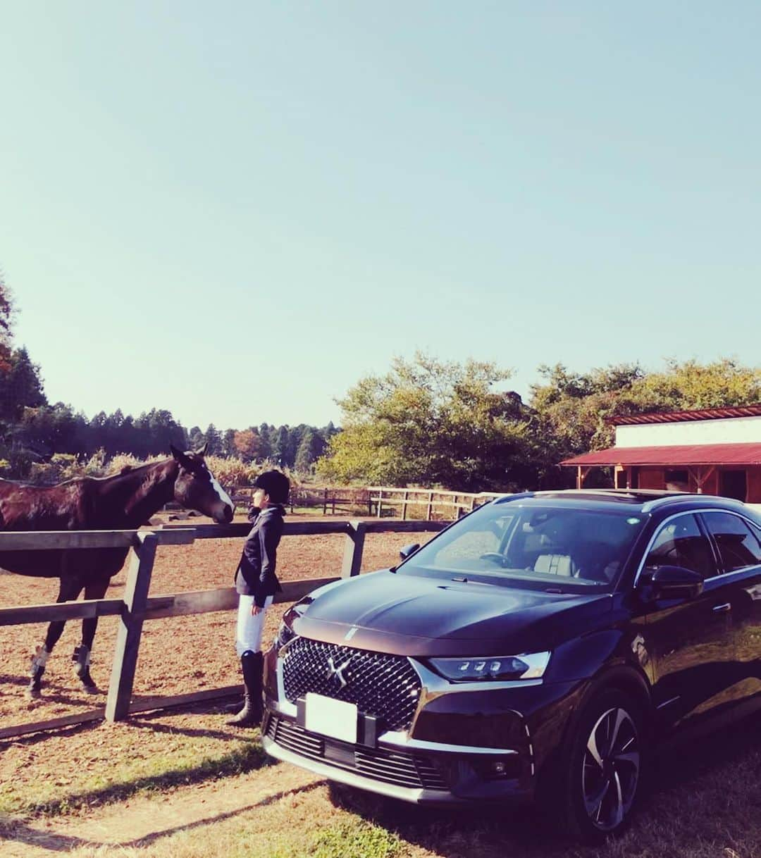 白澤貴子さんのインスタグラム写真 - (白澤貴子Instagram)「Last riding day in this year🐴  今日は今年最後の乗馬day。  2020年はCocoと、アンバサダーを務めたDSにとにかくよく乗った年でした。  この写真は今日じゃないけれど今年一番のお気に入りショット。  好きなものに囲まれることが私にとってはとにかく幸せなことだとずっと言い続けてきたけれど、その大切さを改めて確認した年でもあったな。  #DS7crossback #_tahco_et_cheval」12月26日 18時06分 - takakoshirasawa