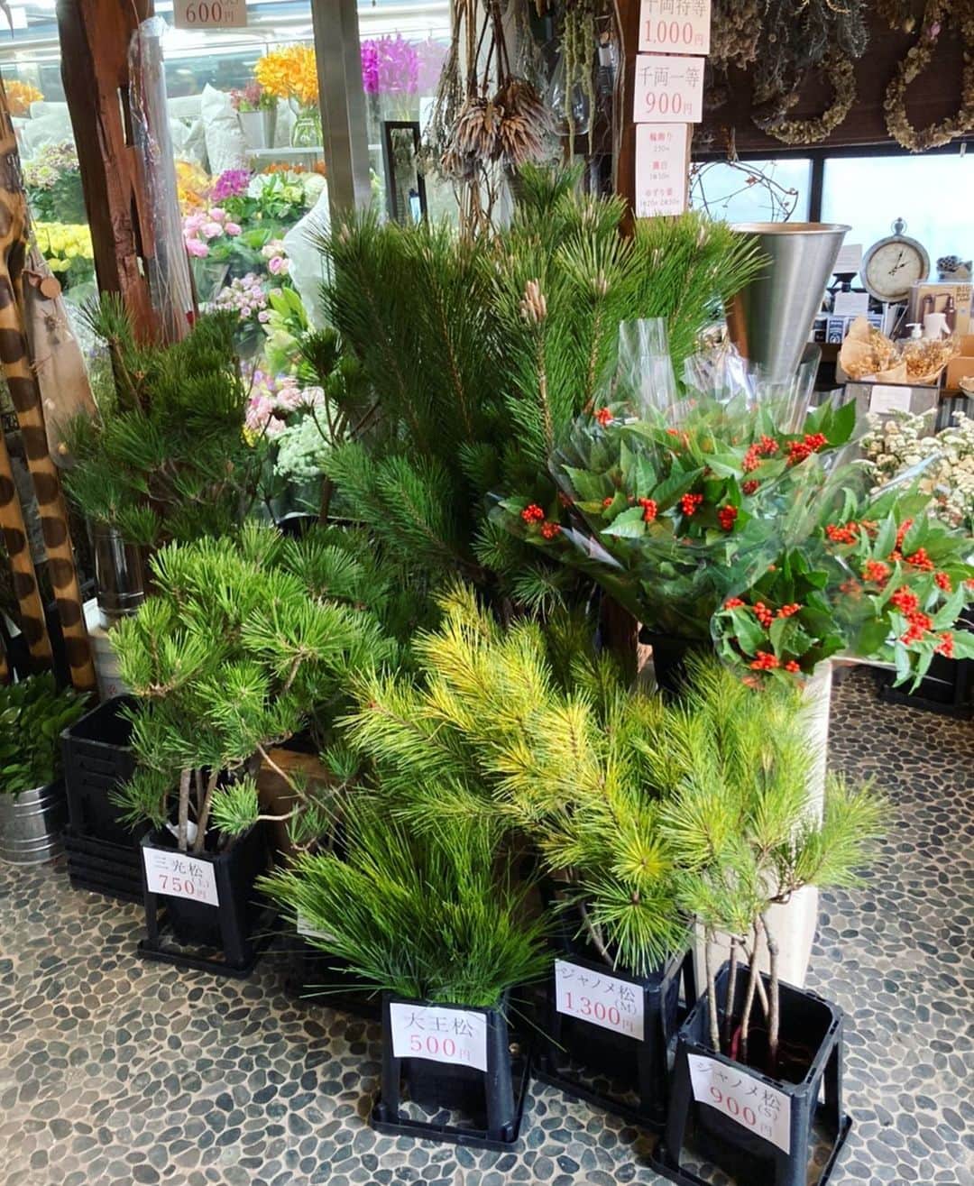 MILLE ECLAT.のグルメインスタ