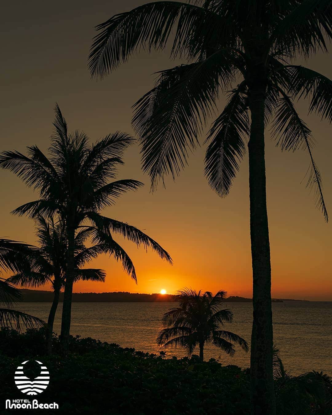 ホテルムーンビーチさんのインスタグラム写真 - (ホテルムーンビーチInstagram)「11月29日、サンセットとマジックアワー。この日はとてもロマンチックな光景でした。 Sunset & Magic hour 29Nov2020  #沖縄 #恩納村 #沖縄ホテル #沖縄リゾート #沖縄観光 #沖縄旅行 #沖縄ビーチ #インフィニティプール #沖縄好き #沖縄好きな人と繋がりたい #ホテルムーンビーチ #ムーンビーチ #ムーンビーチホテル #okinawa #onnason #okinawabeach #okinawahotel  #okinawatrip #okinawasunset #okinawalikes #okinawalabo #okinawa_life #hotelmoonbeach #moonbeach #moonbeachhotel #japan #visitjapanjp #gotoキャンペーン #gototravel」12月26日 18時08分 - themoonbeachmuseumresort
