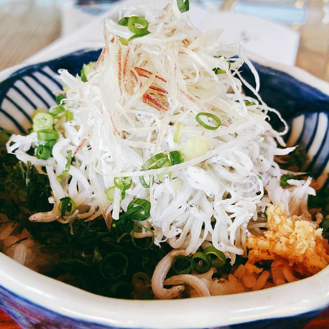 マントル一平のグルメインスタ