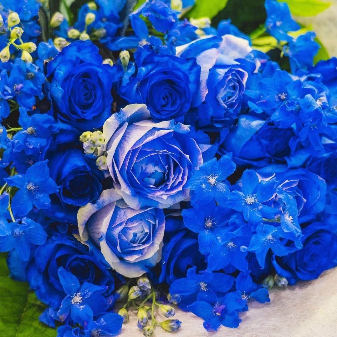 けやき坂彩桜邸シーズンズテラスのインスタグラム：「. ＊青い薔薇＊ . かつての青い薔薇の花言葉は「不可能」 しかし研究が進み、青い薔薇が完成したことで花言葉は「夢は叶う」へ変わったのです♥ . 🌸彩桜邸の情報はこちらから🌸 @keyakizaka_saiotei」