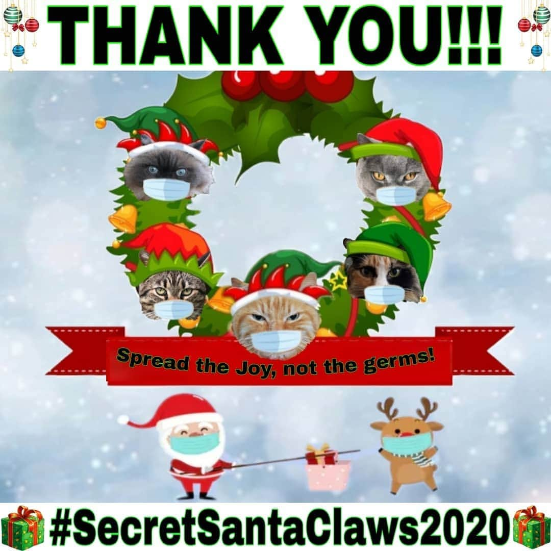 Homer Le Miaou & Nugget La Nugのインスタグラム：「The Secret Santa Claws 2020 was a huge sucess: Almost 300 santas, tons of pawesome gifts and an incredible amount of love (and treats), it was amazing, especially in these weird times!😺 I hope you are all enjoying your presents and your new friends! Checking by the #SecretSantaClaws2020 pics i can see that the joy of catmas has been spread all over the world hehe! Just wanted to thank everybody who have registered, it wouldn't have been possible without you all so thank you!!!💗 If, sadly, you still haven't received your parcel by now, please contact us by dm or under this pic and we'll investigate. If you've already done this, sorry for the delay but be sure i am on it right meow! Again, there won't be a sad santa under our watch!!!😿🎅⛔ And now, we're wishing you a happy and healthy end of the year... And rendez-vous for the #SecretSantaClaws2021 hehe!!!🎅😻🎁 (If you don't want to miss the launch of it, suscribe to the #SecretSantaClaws2021 hashtag so you'll receive all the updates!) 🎅😻🎁 #MerryBelatedCatmasToAll Take care of you, friends! 😷」