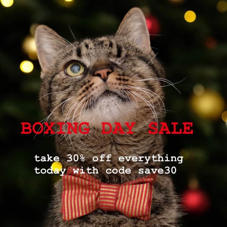catinberlinさんのインスタグラム写真 - (catinberlinInstagram)「BIG BOXING DAY SALE - take 30% off everything in our store with code save30. Only today, so hurry up!! 🙀🎁 www.catinberlin.com」12月26日 19時18分 - catinberlin