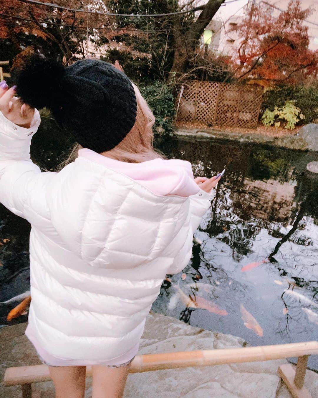 アンジェリカのインスタグラム：「💖 . 愛宕神社に行ってきた～ε( ε•o•)э。゜ 鯉が沢山居るんだよネ 愛宕神社って🥰 後、出世の階段を登ってきたンゴ！ . 💜  #愛宕神社 #愛宕神社の階段 #鯉」