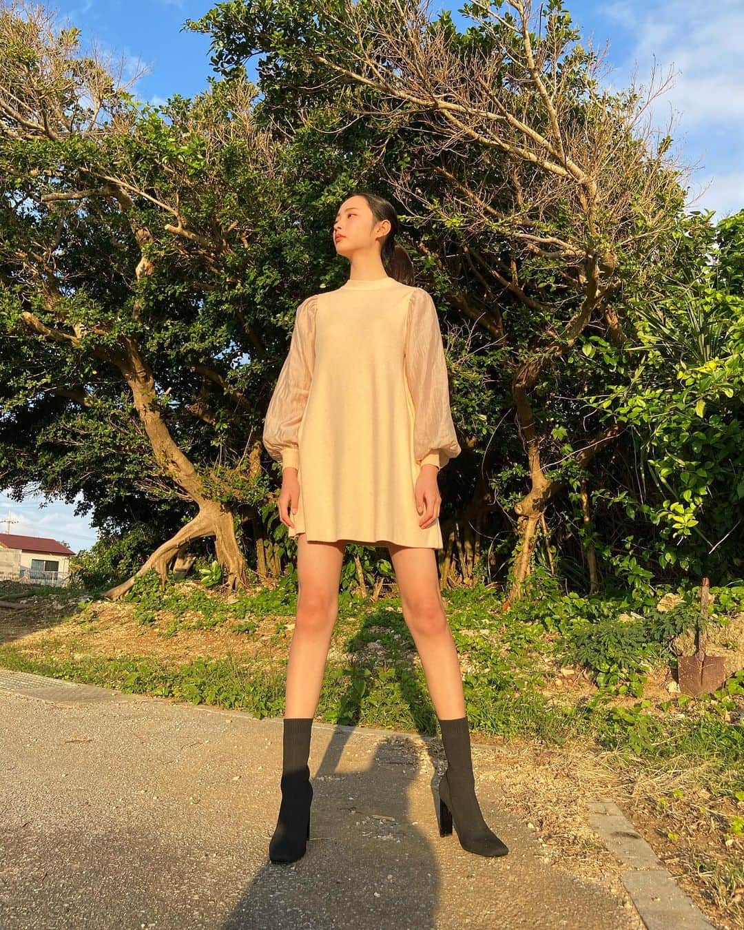 高橋恋子のインスタグラム：「木 . . . . #🌳  右にスコップささってるう」
