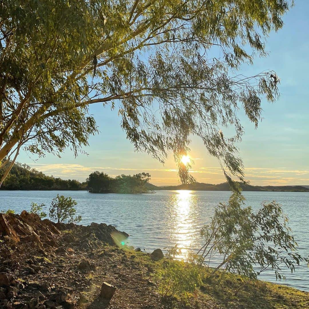 広瀬ななのインスタグラム：「@outbackatisa recommended us this lake to visit. Had a good relaxing time here😌  ・ 葉っぱの隙間から太陽の光りがこんにちは。 お気に入りの一枚。 ・ #Australiaroadtrip #relaxingtime #オーストラリア一周 #風 #自然  #旅暮らし #湖 #木漏れ日 #木の葉 #旅の記録」