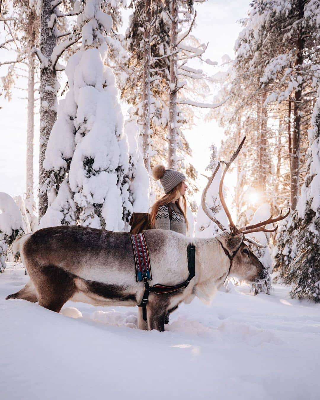 Padgramさんのインスタグラム写真 - (PadgramInstagram)「🦌🎄🍄 Out of curiosity:  Do you celebrate Christmas where you’re from? Courtesy of @frauki  ➖➖ #pgdaily #pgstar #pgcounty #lapland #laplandfinland #planetgo #planet #planetearth #amazing #awesome #merrychristmas #merrychristmas🎄」12月26日 19時59分 - planet.go